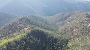 Property view of mountains featuring a view of trees