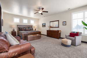 Carpeted bedroom with baseboards, multiple windows, visible vents, and a ceiling fan