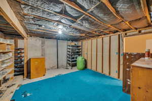 View of unfinished basement