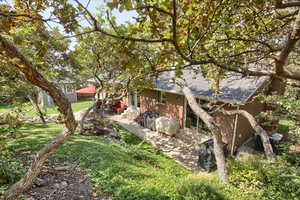 View of yard featuring a patio