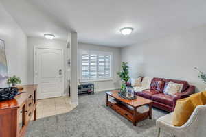 Carpeted living area featuring baseboards and tile patterned floors