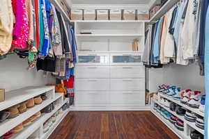 Spacious closet featuring dark wood-style flooring