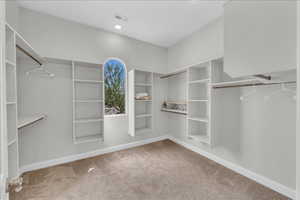 Spacious closet featuring visible vents and carpet flooring