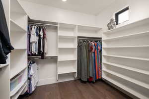 Walk in closet featuring dark wood-style flooring