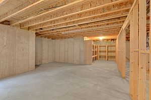 View of unfinished basement