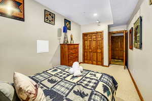 Carpeted bedroom featuring baseboards and a closet