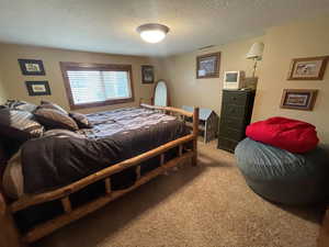 Carpeted bedroom with visible vents and a textured ceiling