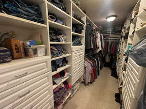 Spacious closet featuring light colored carpet