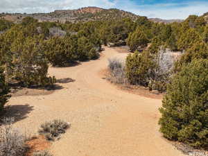 View of mountain feature featuring a forest view