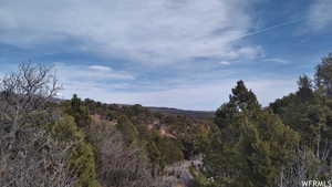 Property view of mountains with a forest view