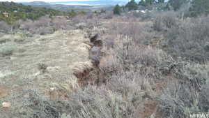 Birds eye view of property with a mountain view and a wooded view