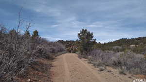 View of street with a wooded view