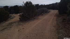 View of street with a forest view