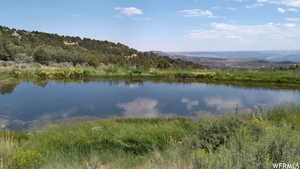 View of water feature