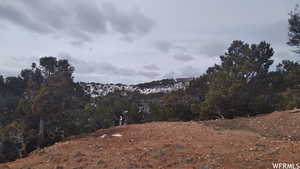 Mountain view featuring a view of trees