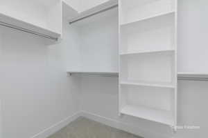 Spacious closet featuring carpet flooring