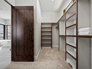 Spacious closet with carpet floors and visible vents