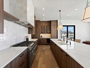 Kitchen with light wood finished floors, decorative backsplash, a sink, modern cabinets, and double oven range