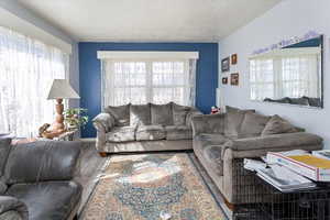 Living room featuring a textured ceiling and wood finished floors