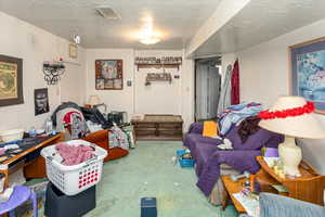 Living room featuring carpet floors, visible vents, and a textured ceiling