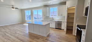 Kitchen with stainless steel dishwasher, electric range, ceiling fan, recessed lighting, and a sink