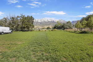 View of yard with a mountain view