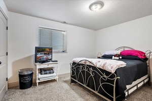 Bedroom featuring carpet floors, visible vents, and a textured ceiling