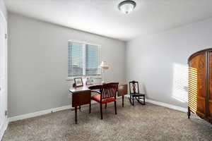 Office area featuring carpet floors, a healthy amount of sunlight, and baseboards