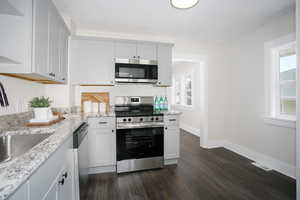 Kitchen with a healthy amount of sunlight, dark wood-style floors, visible vents, and stainless steel appliances