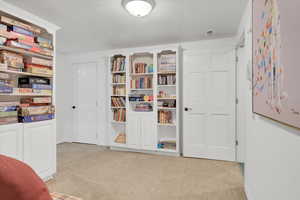 Basement sitting area with built-in storage