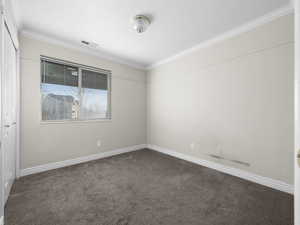 Carpeted spare room featuring ornamental molding, and baseboards