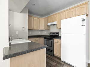 Kitchen with under cabinet range hood, light brown cabinets, stainless steel range with electric cooktop, and freestanding refrigerator