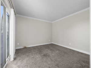 Empty room featuring ornamental molding, carpet flooring, and baseboards