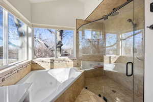 Full bathroom featuring a stall shower, a wealth of natural light, and a whirlpool tub