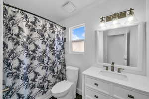 Full bathroom featuring toilet, a shower with shower curtain, and vanity