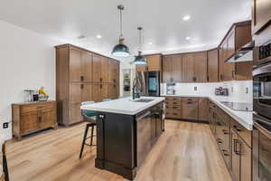 Kitchen featuring light wood-type flooring, range hood, stainless steel appliances, and a sink