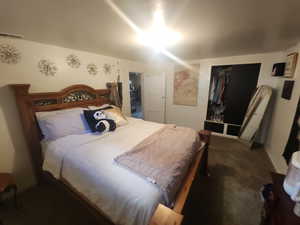 Bedroom #3 featuring carpet, a closet, and visible vents