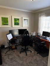 Carpeted home office with crown molding