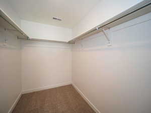 Walk in closet with carpet and visible vents