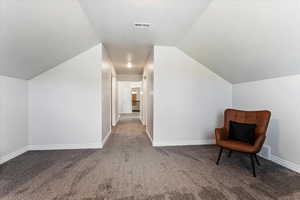 Interior space featuring vaulted ceiling, carpet flooring, and visible vents