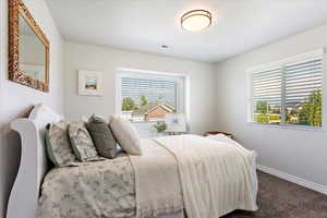 Bedroom with multiple windows, carpet flooring, visible vents, and baseboards