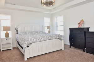 Bedroom featuring a tray ceiling, carpet flooring, visible vents, and baseboards
