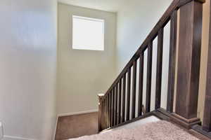 Stairs featuring carpet floors and baseboards