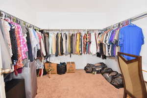 Walk in closet featuring carpet floors