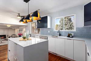 Kitchen with a fireplace, a sink, dishwasher, and modern cabinets