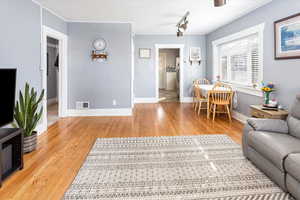 Living area featuring baseboards, rail lighting, visible vents, and light wood-style floors