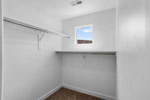 Spacious closet featuring visible vents and dark carpet