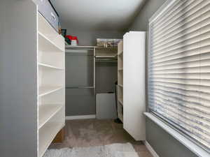 Walk in closet with carpet floors