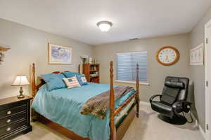 Carpeted bedroom featuring visible vents and baseboards