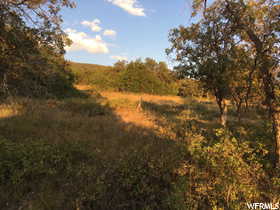 View of nature